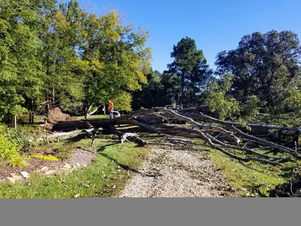 Images Smiths Tree Service