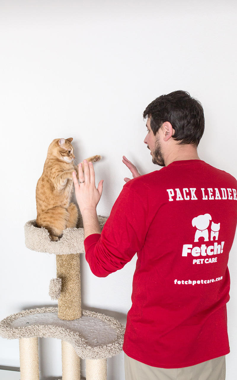 Fetch! Pet Care Photo