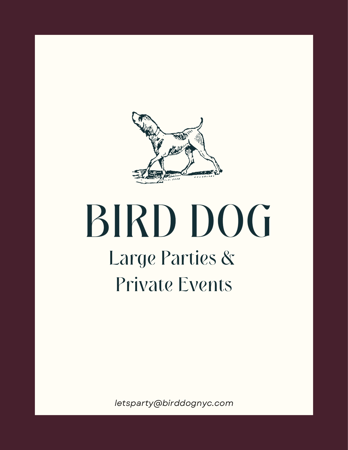 Images Bird Dog