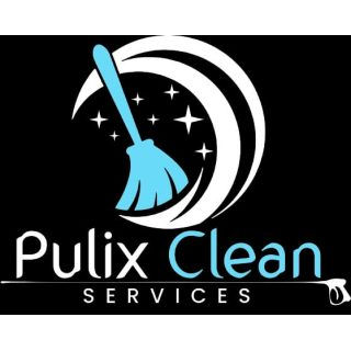 PulixClean service Logo