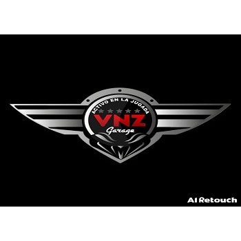 VNZ Garage Quilicura