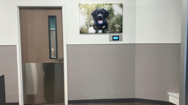 Images VCA Town Center Animal Hospital