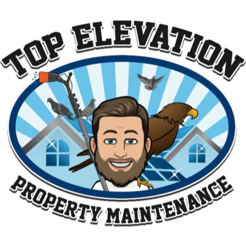Top Elevation Roof Cleaning and Repair Logo