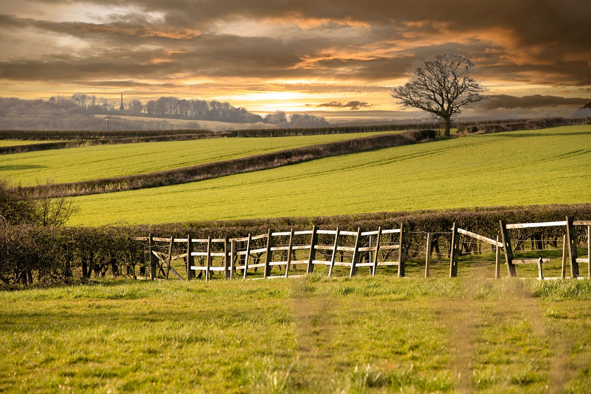 Images David Wilson Homes - Old Mill Farm