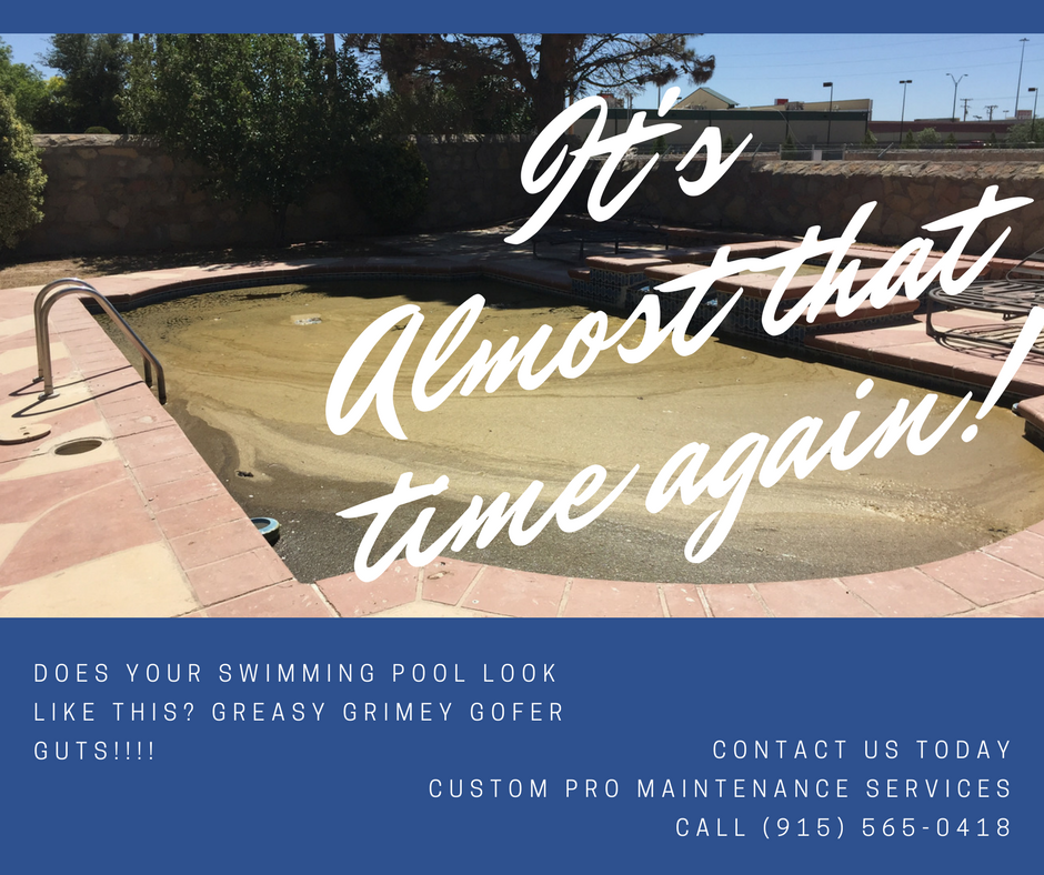 Custom Pro Maintenance Service Logo