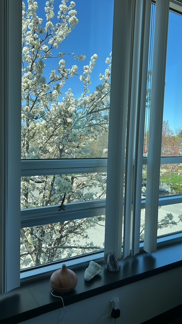 Images Family Counseling Associates of Massachusetts