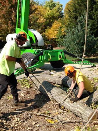 Images Affordable Tree Service