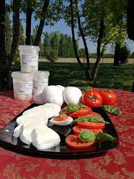 Images Caseificio Gaion