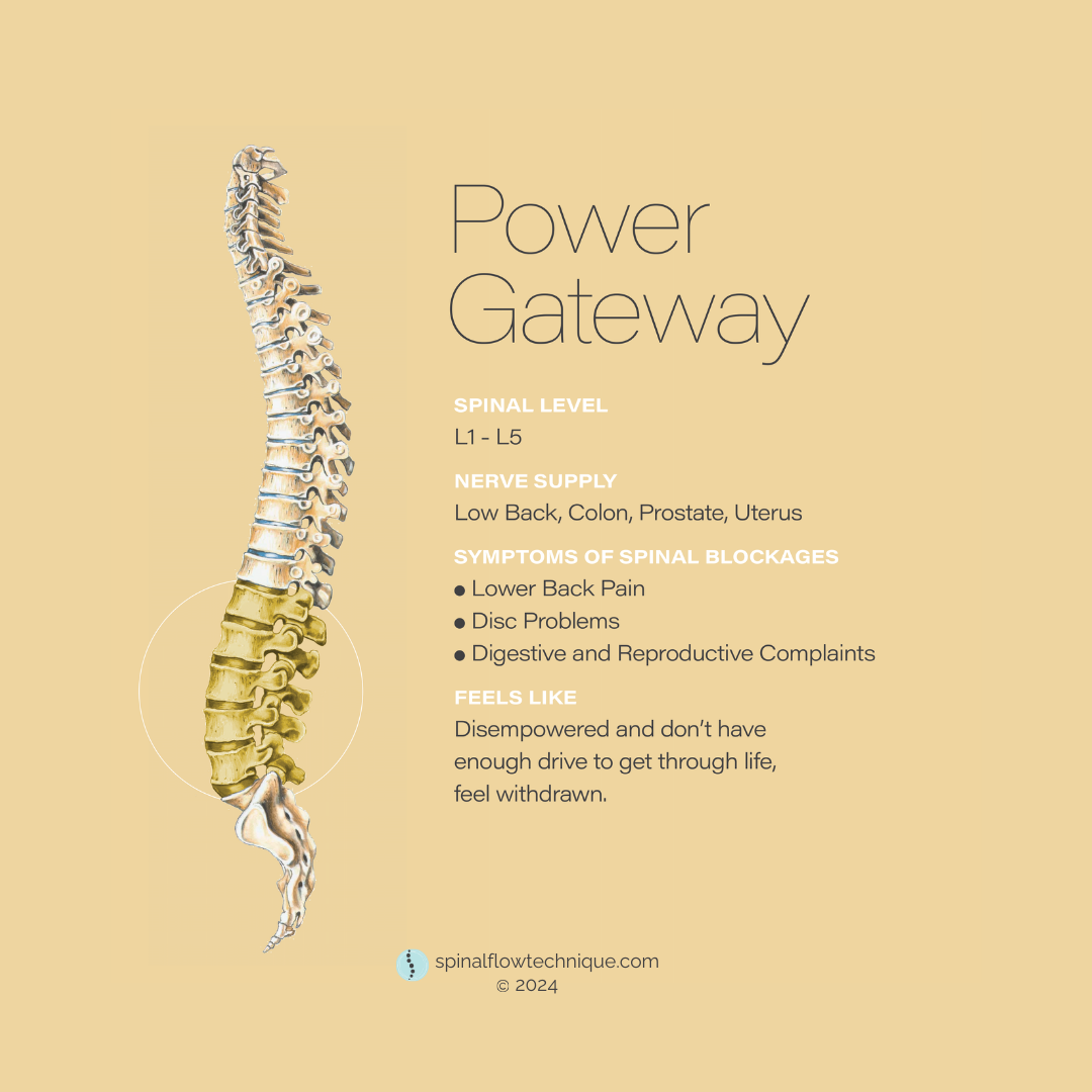 Images Forever Flow Health & Wellness Centre