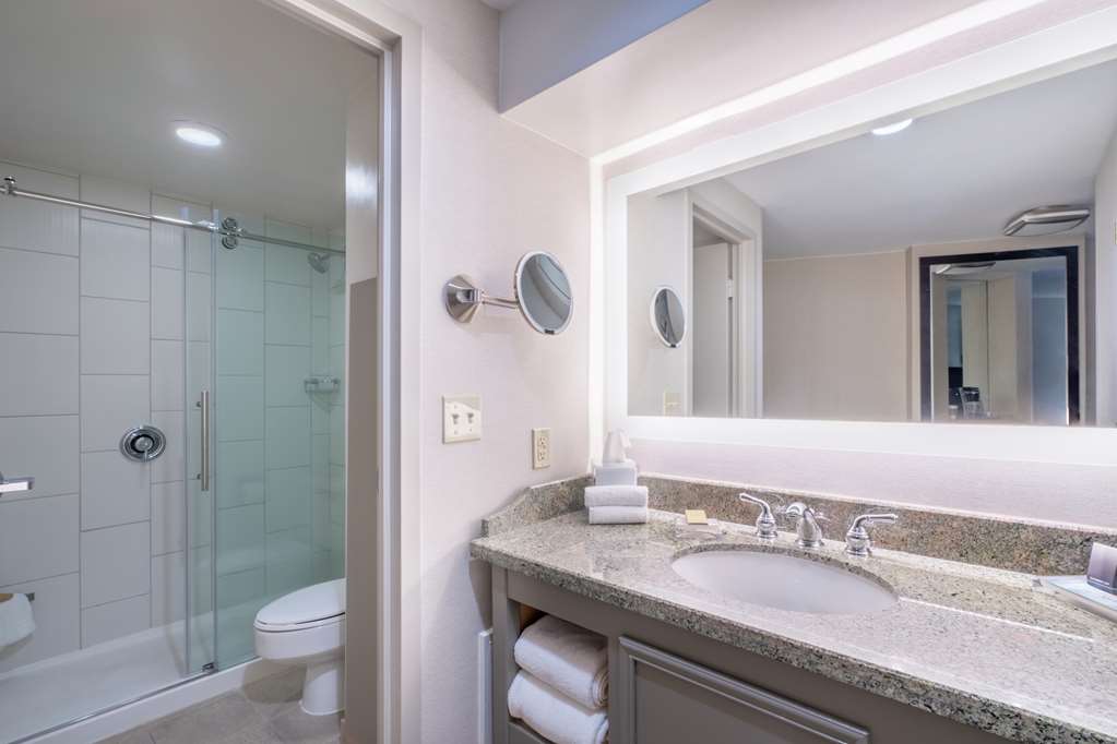 Guest room bath 