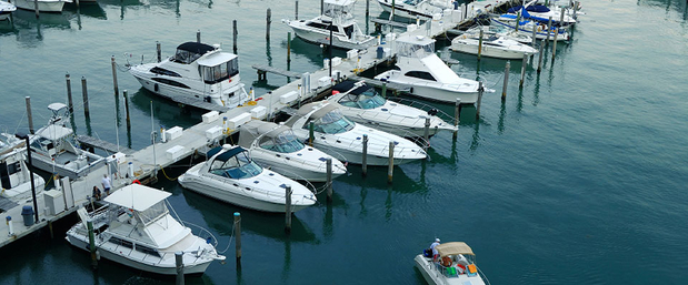 Images Omega Insurance Agency Tampa 