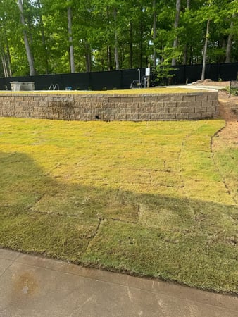 Images Lopez Tree Services and Landscaping