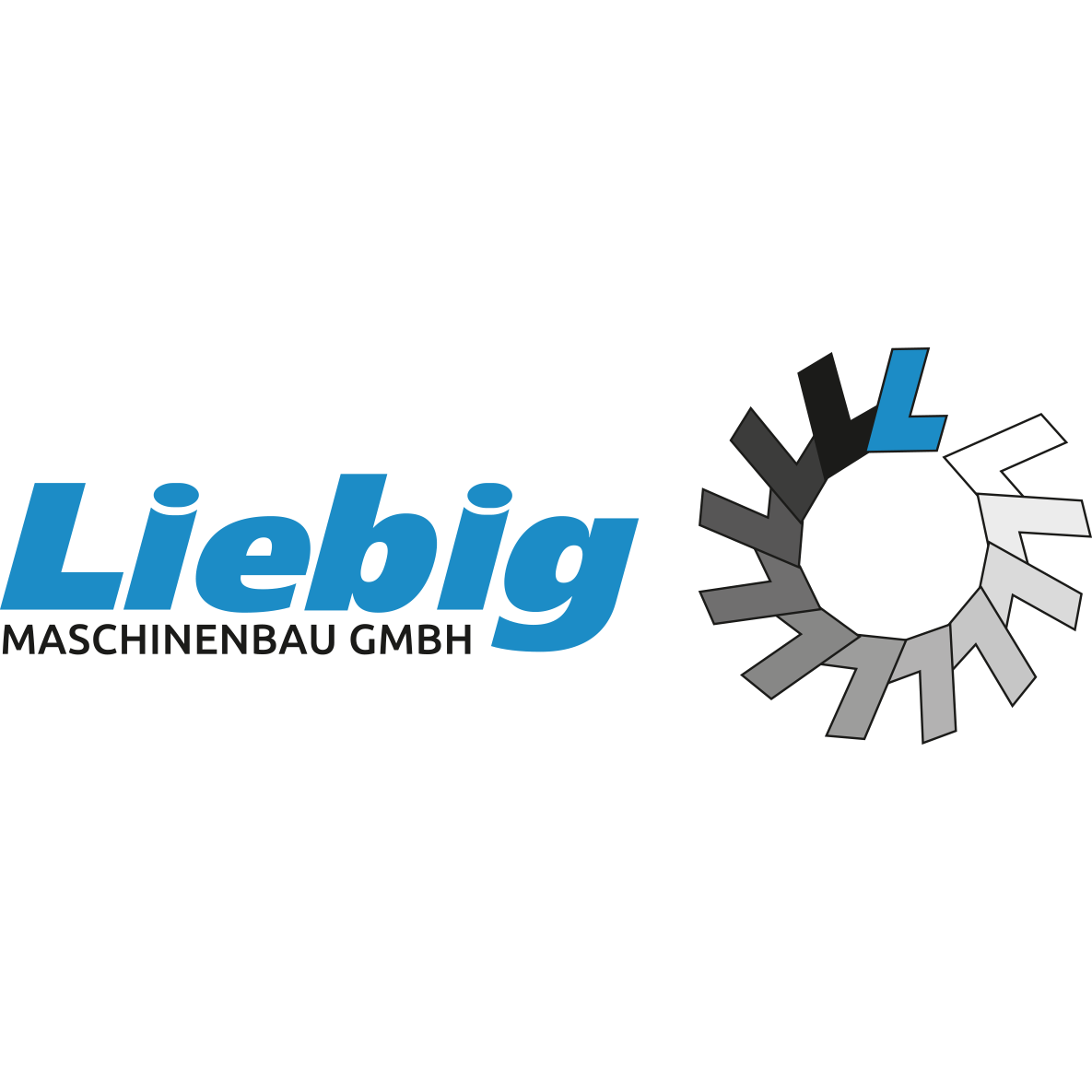 Liebig Maschinenbau GmbH in Bamberg in Bamberg - Logo