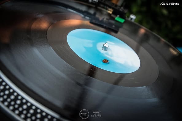 Images Movida 71100 Pizzeria