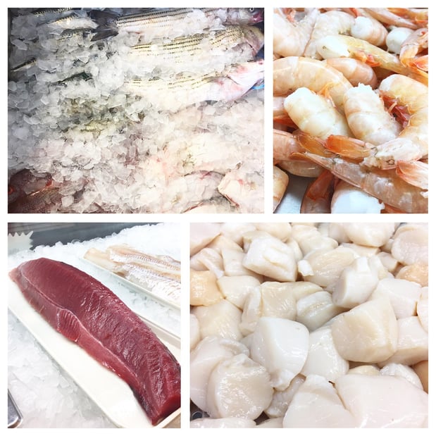 Images Martin Fish Co LLC