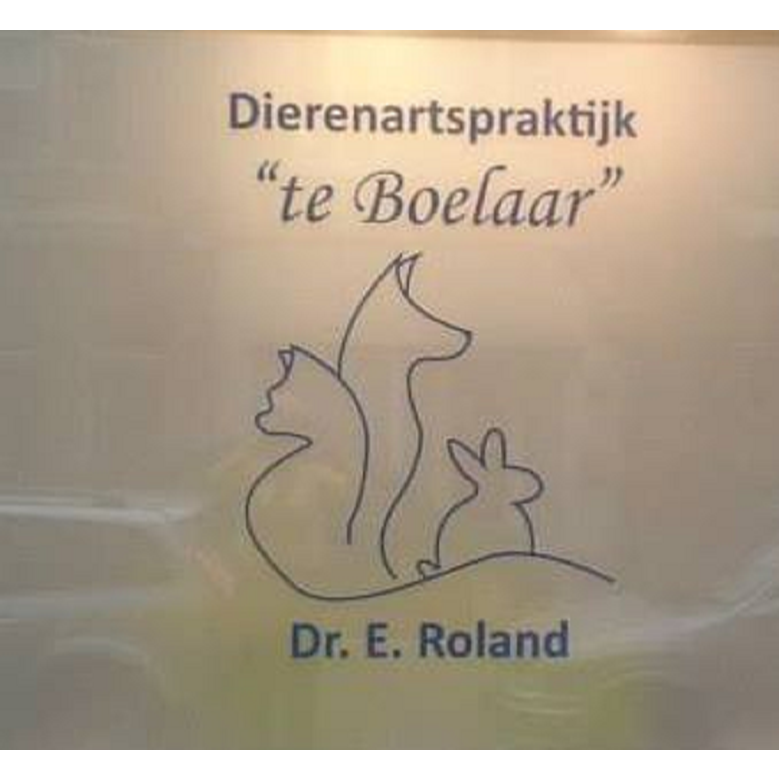 Dierenartspraktijk Te Boelaar - Dierenarts Els Roland - Veterinarian - Antwerpen - 03 322 33 00 Belgium | ShowMeLocal.com