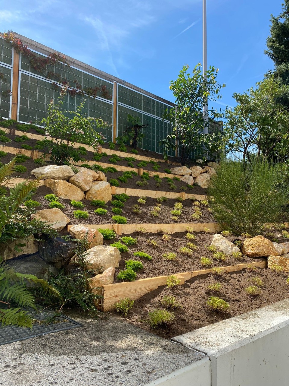 Bilder Dober Märchy Gartenpflege GmbH