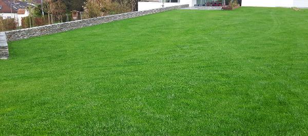 KLUG IM GARTEN - DI Helmut Klug Gartengestaltung & Schwimmteichbau, Doppl 6 in Schwertberg