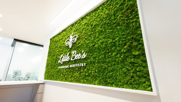 Images Little Bee's Pediatric Dentistry