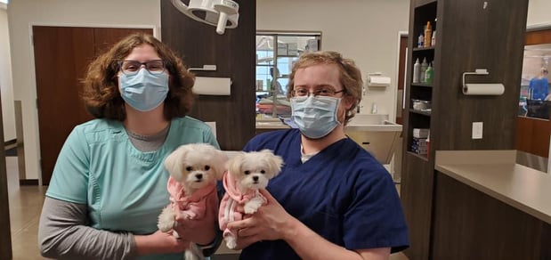 Images Kirtland Veterinary Hospital