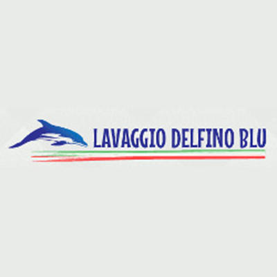 Lavaggio Delfino Blu Logo