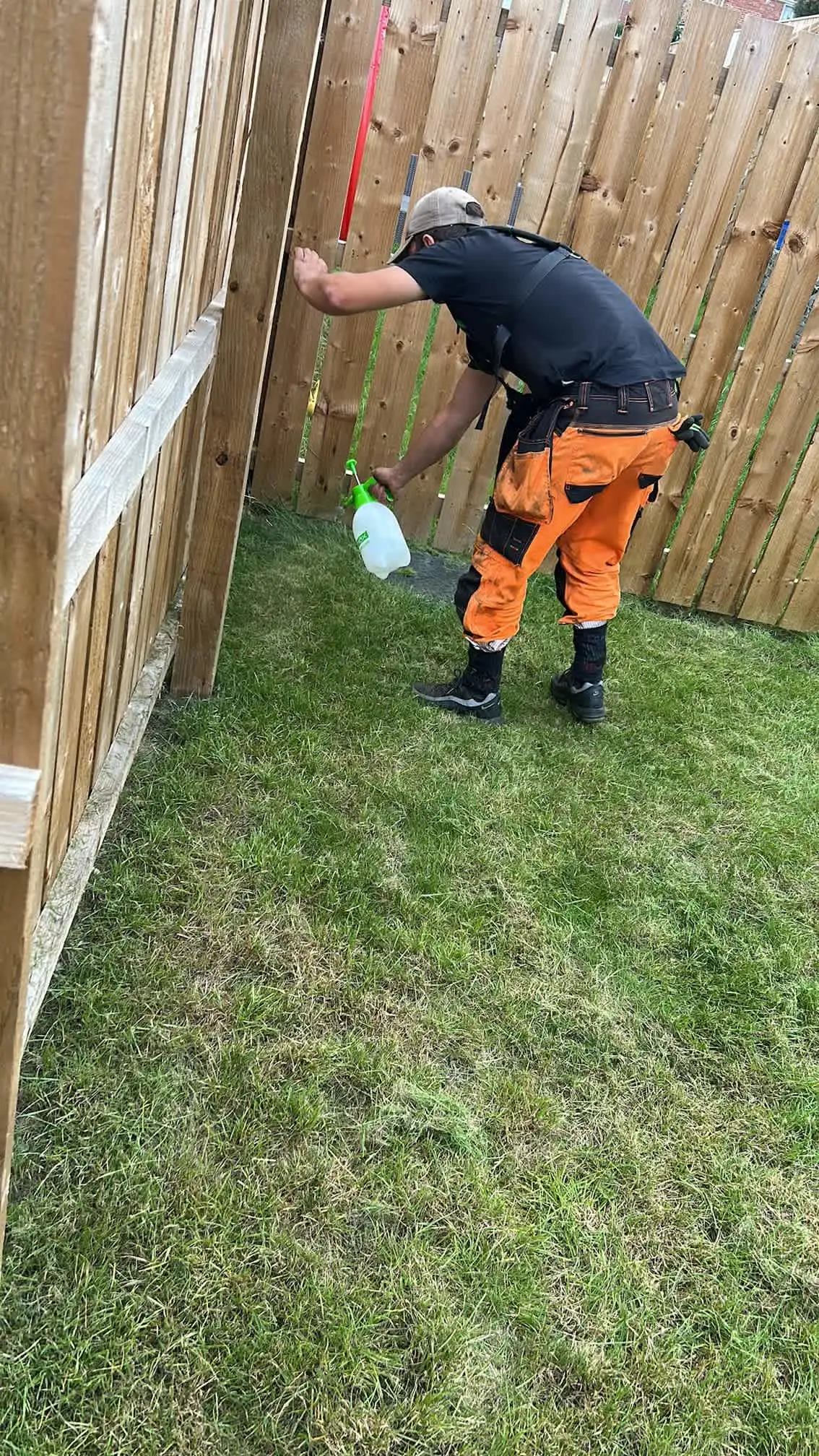 Images PG Garden Maintenance