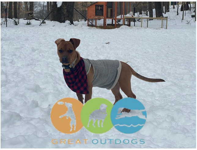 Images Great Outdogs