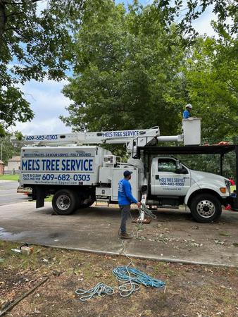 Images Mel's Tree Service, LLC