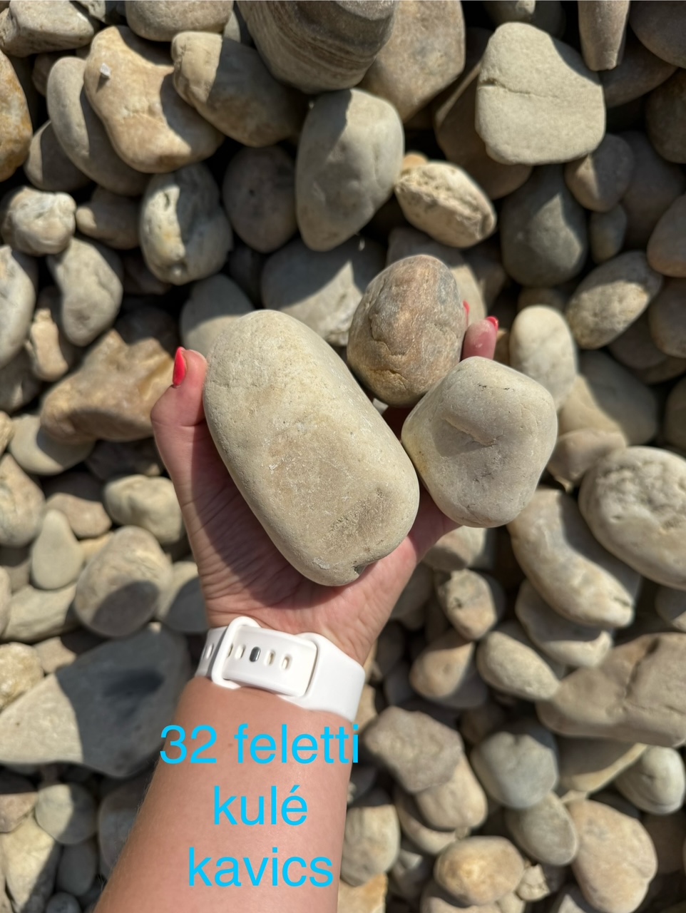 Images Koller és Varga Kft.