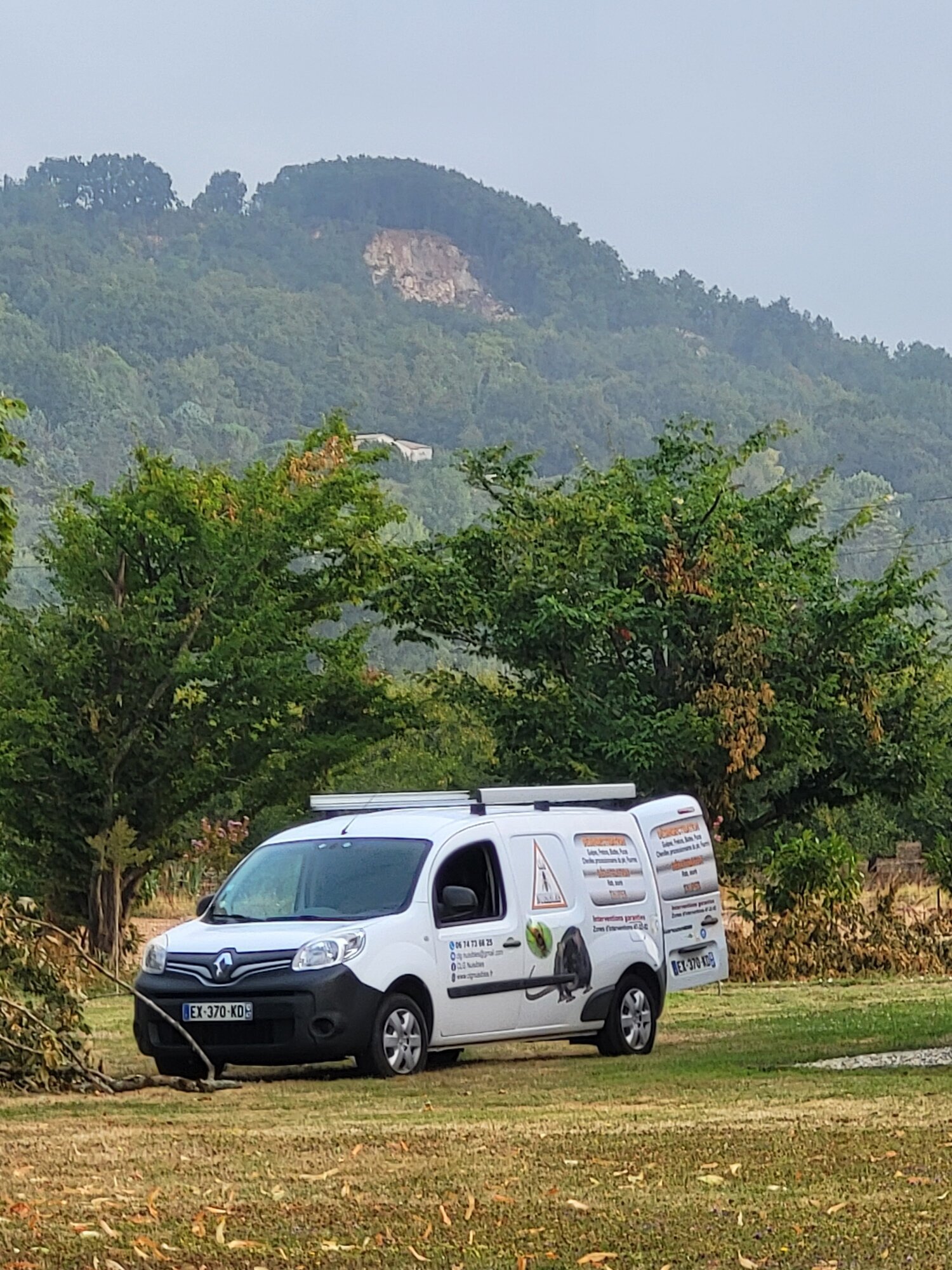 Images CLG Nuisibles-Guêpes-Frelons