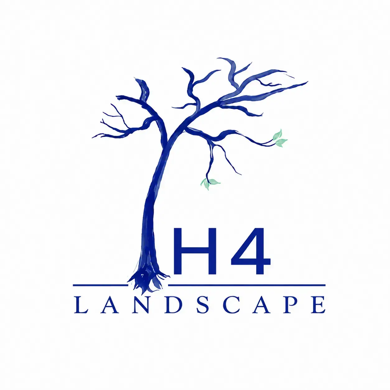 H4 Landscape
