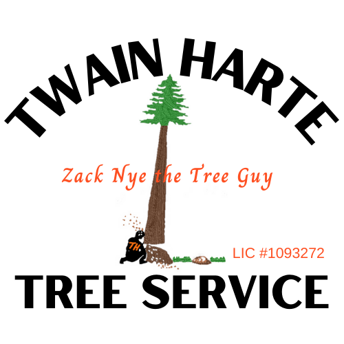 Twain Harte Tree Service Logo