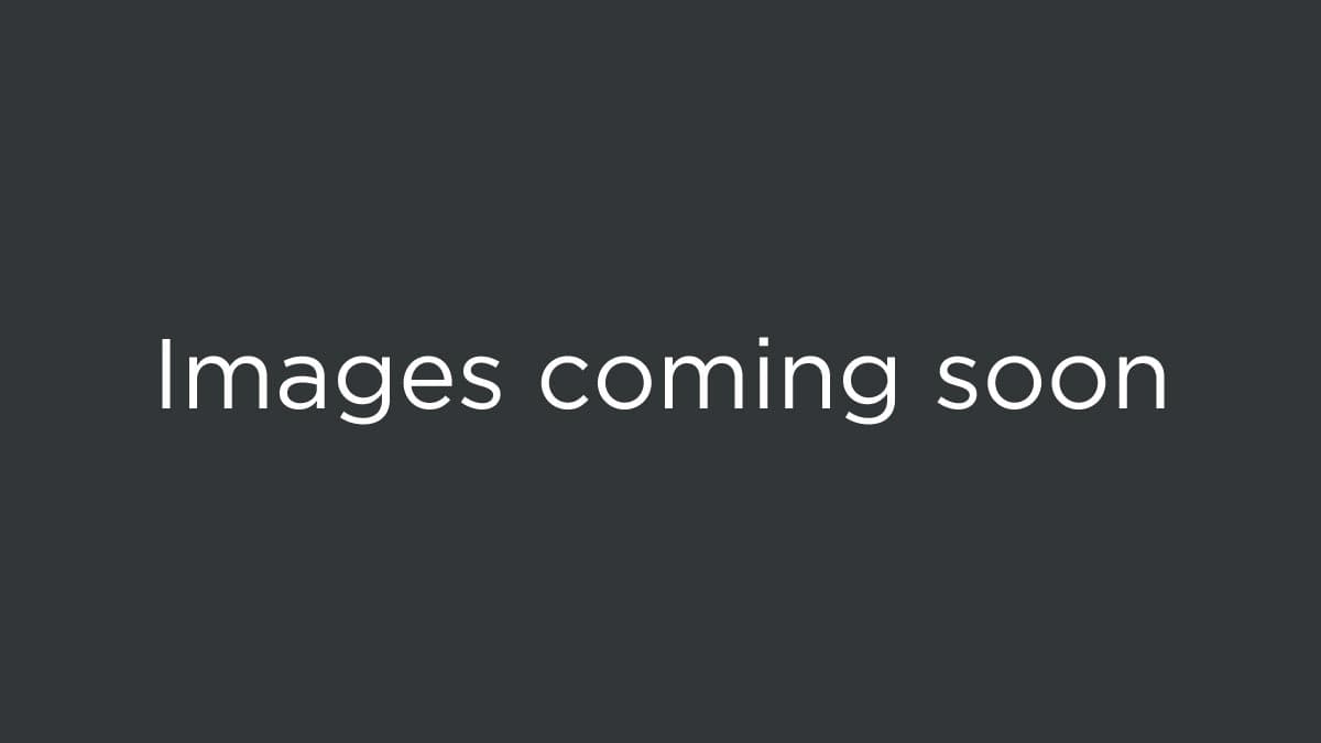 Images Coming Soon