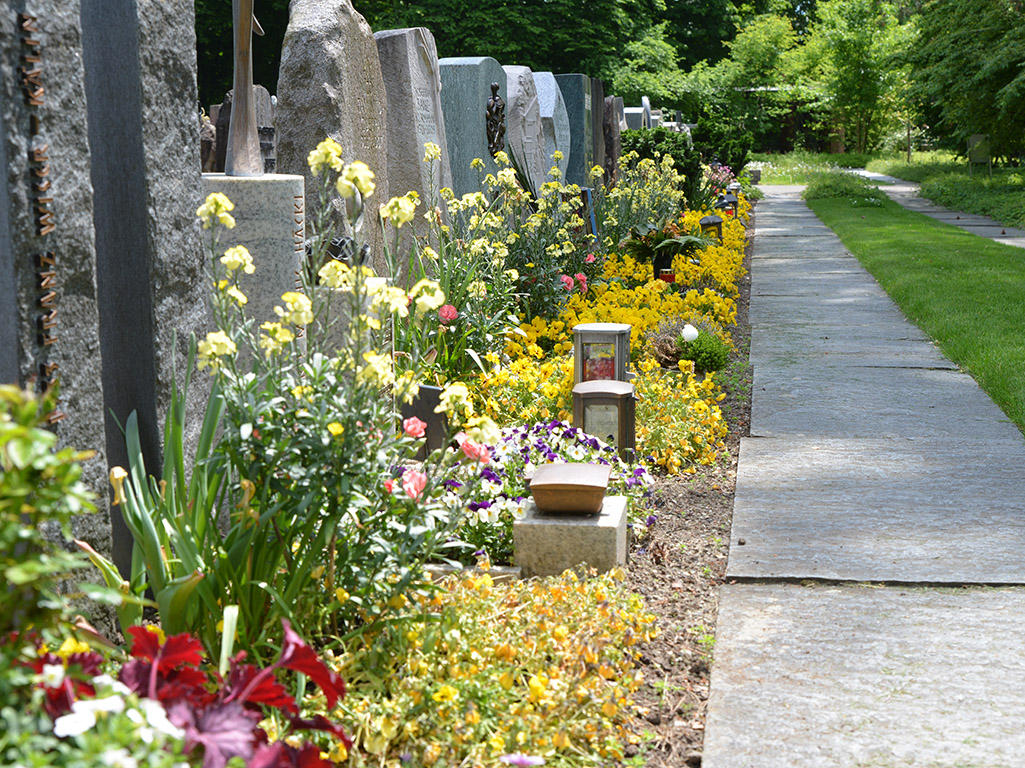 Bilder Friedhofverwaltung