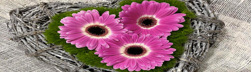 Images La Boutique del Fiore