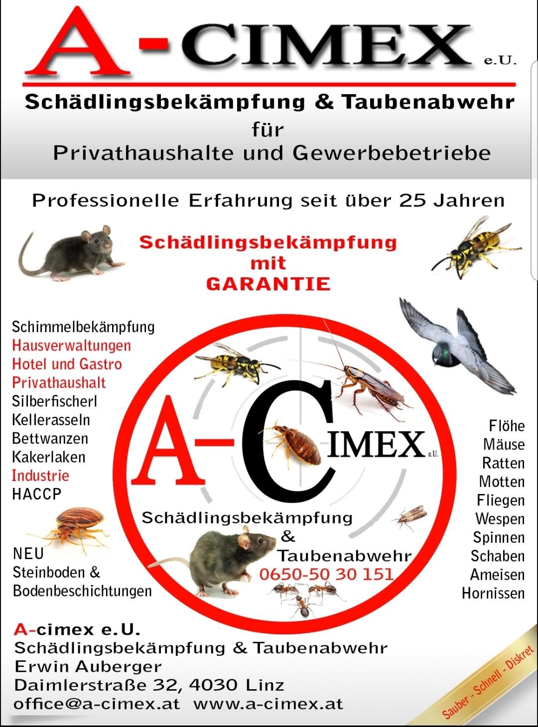 Bilder A-Cimex GmbH Schädlingsbekämpfung & Taubenabwehr