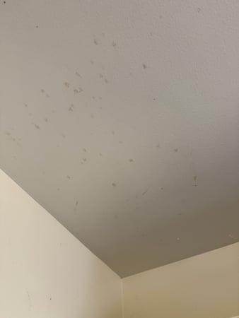 Images 24H Mold Inspection of Newport Beach