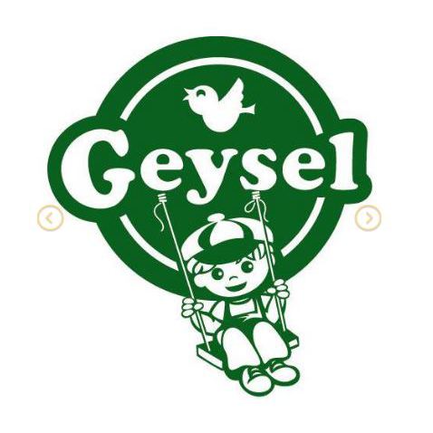 Productos Geysel S.L. Logo