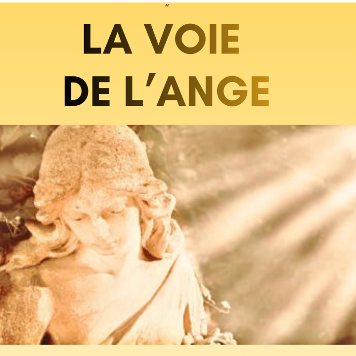 La Voie de l Ange cours particuliers et assistance scolaire