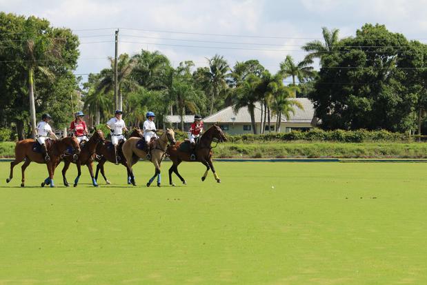 Images Palm City Polo