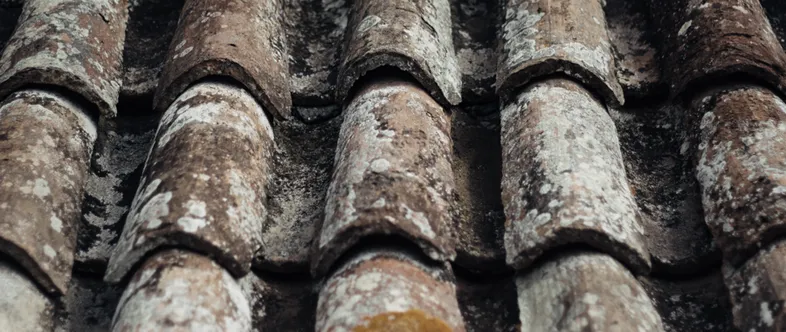 Bild 7 Carsten Schaper Dachdeckermeister in Lamspringe