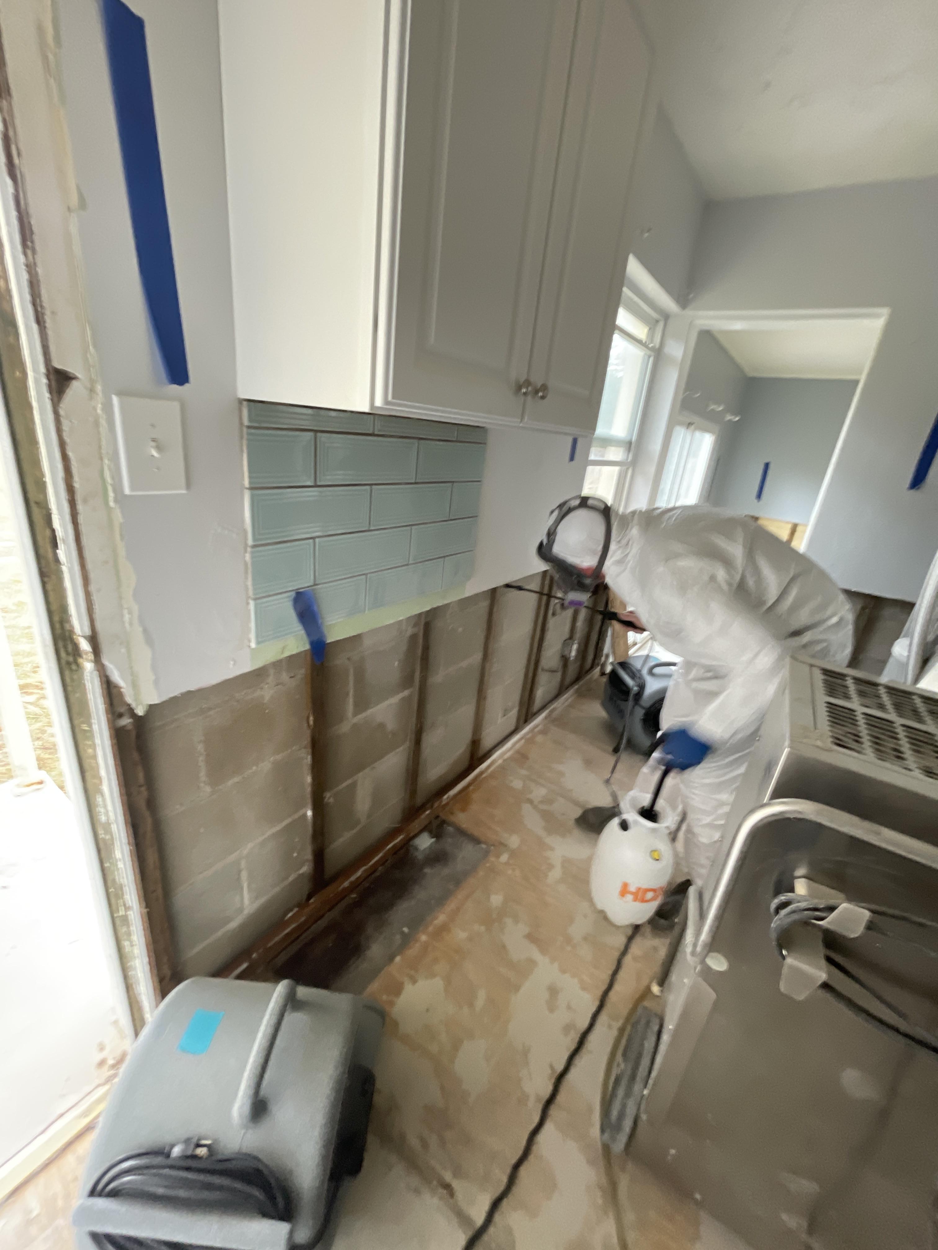 Water Damage Restoration and Mold Mitigation