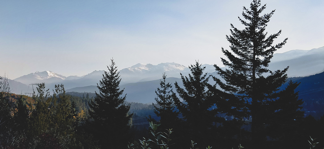 Aerial view of a gorgeous mountain landscape with tall evergreen trees in the foreground.