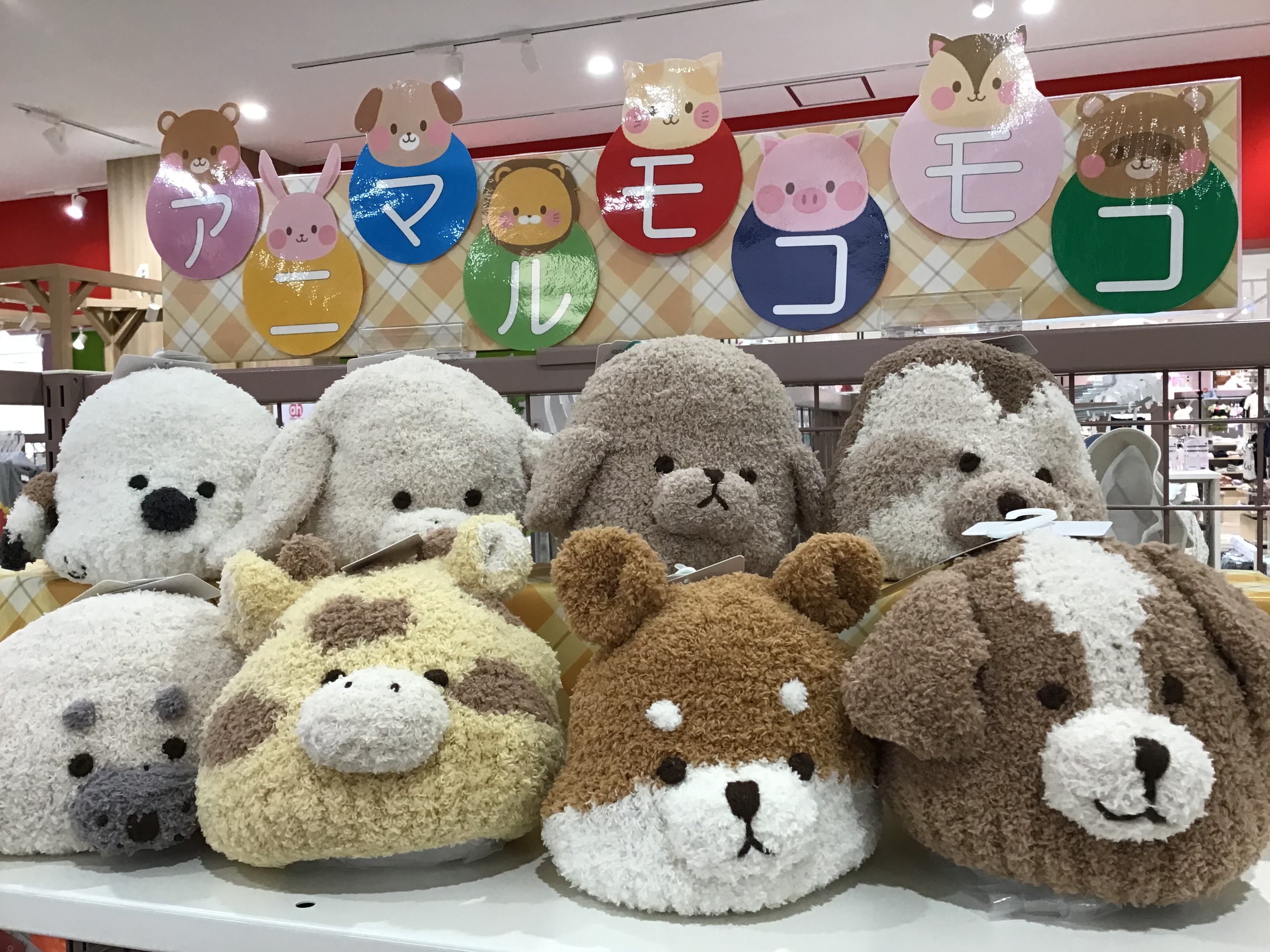 MAHOROBAインテリア.shop 様確認用 有隣堂神戸阪急店にて、bpbpのソックスポップアップコーナーの