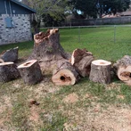 C&J Projects & Services Image