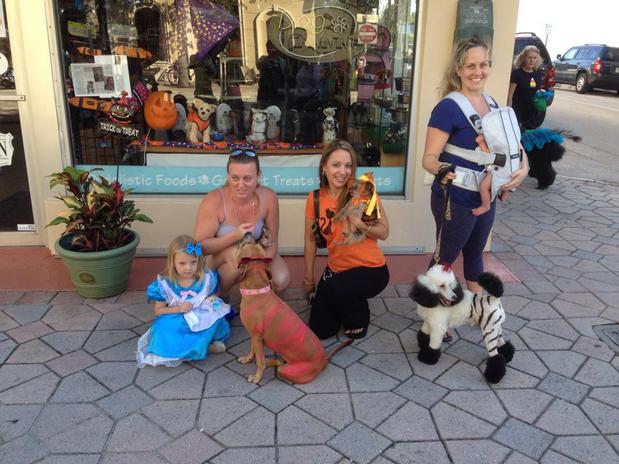 Images Paws On the Avenue