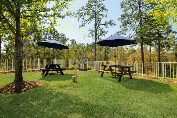 Images Holiday Inn Express & Suites Aiken by IHG