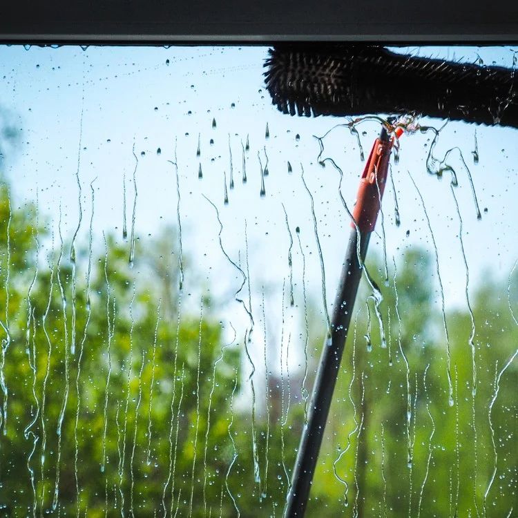 The Real Dill Exterior Cleaning