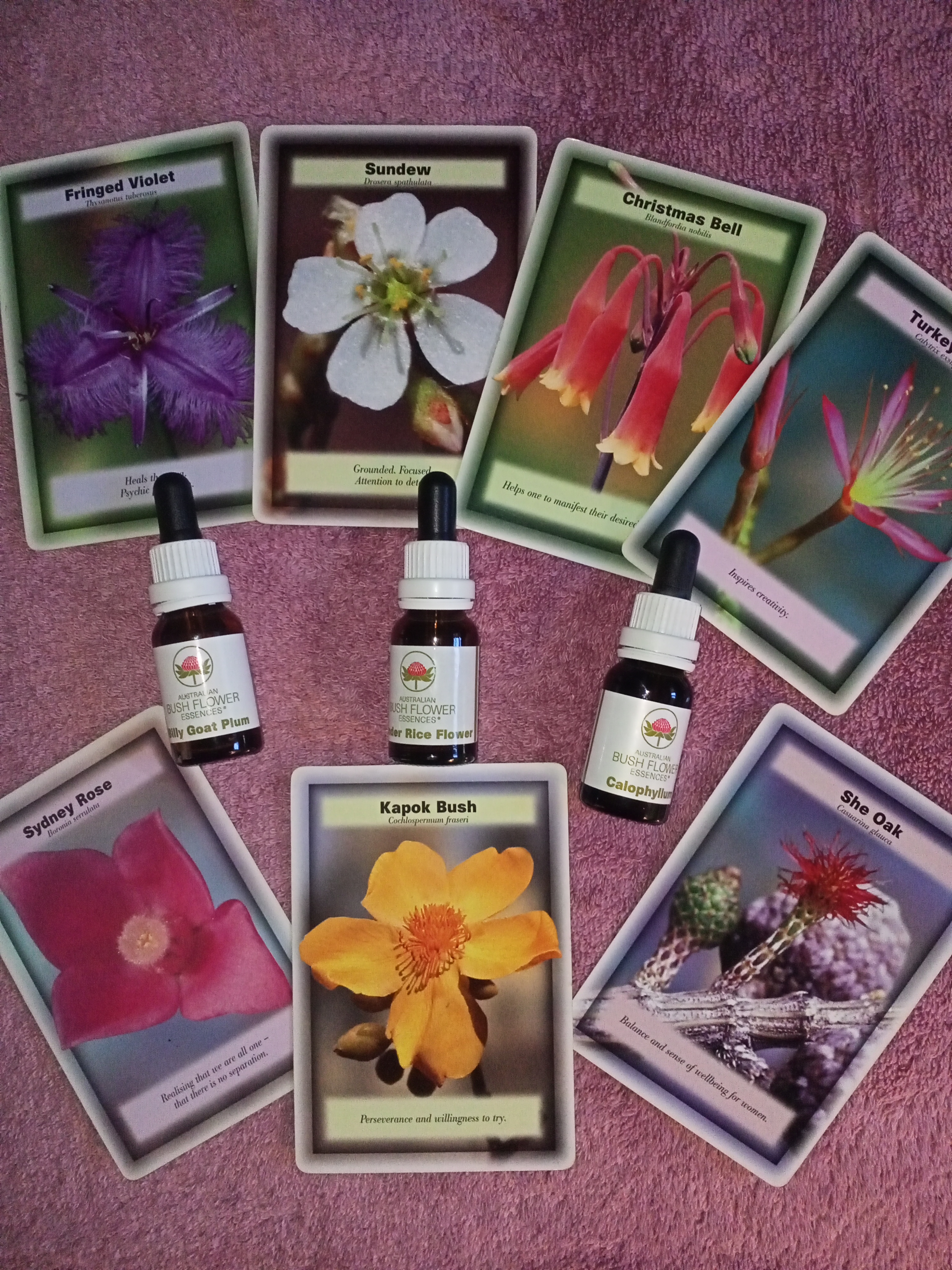 Images EarthEssence Natural Therapies