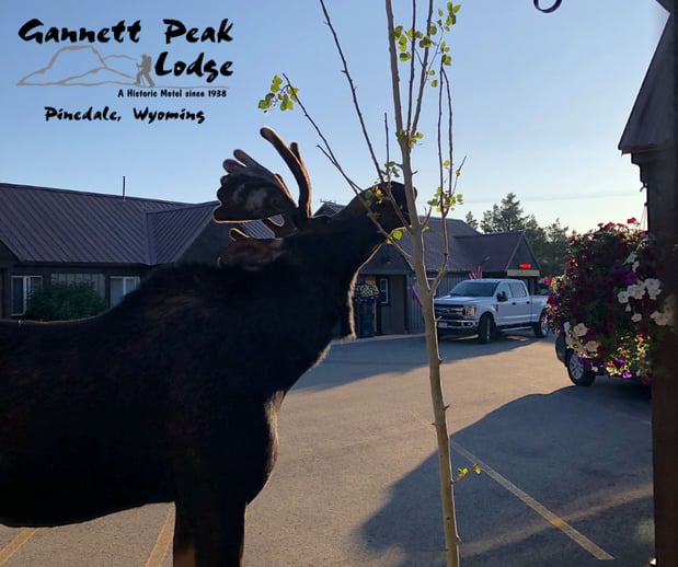 Images Gannett Peak Lodge